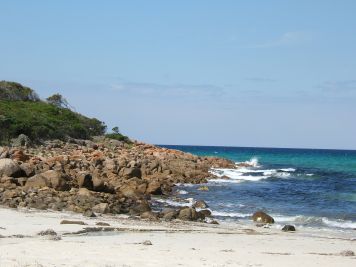 Rocky Shore